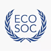 Институт экономических стратегий подготовил отчет о деятельности для ЭКОСОС ООН
